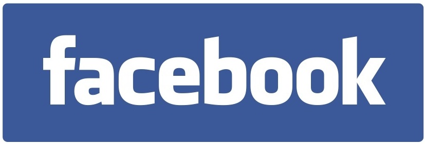face_logo